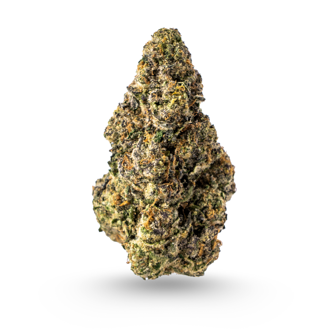 Forbidden Fruit Exotic Flower