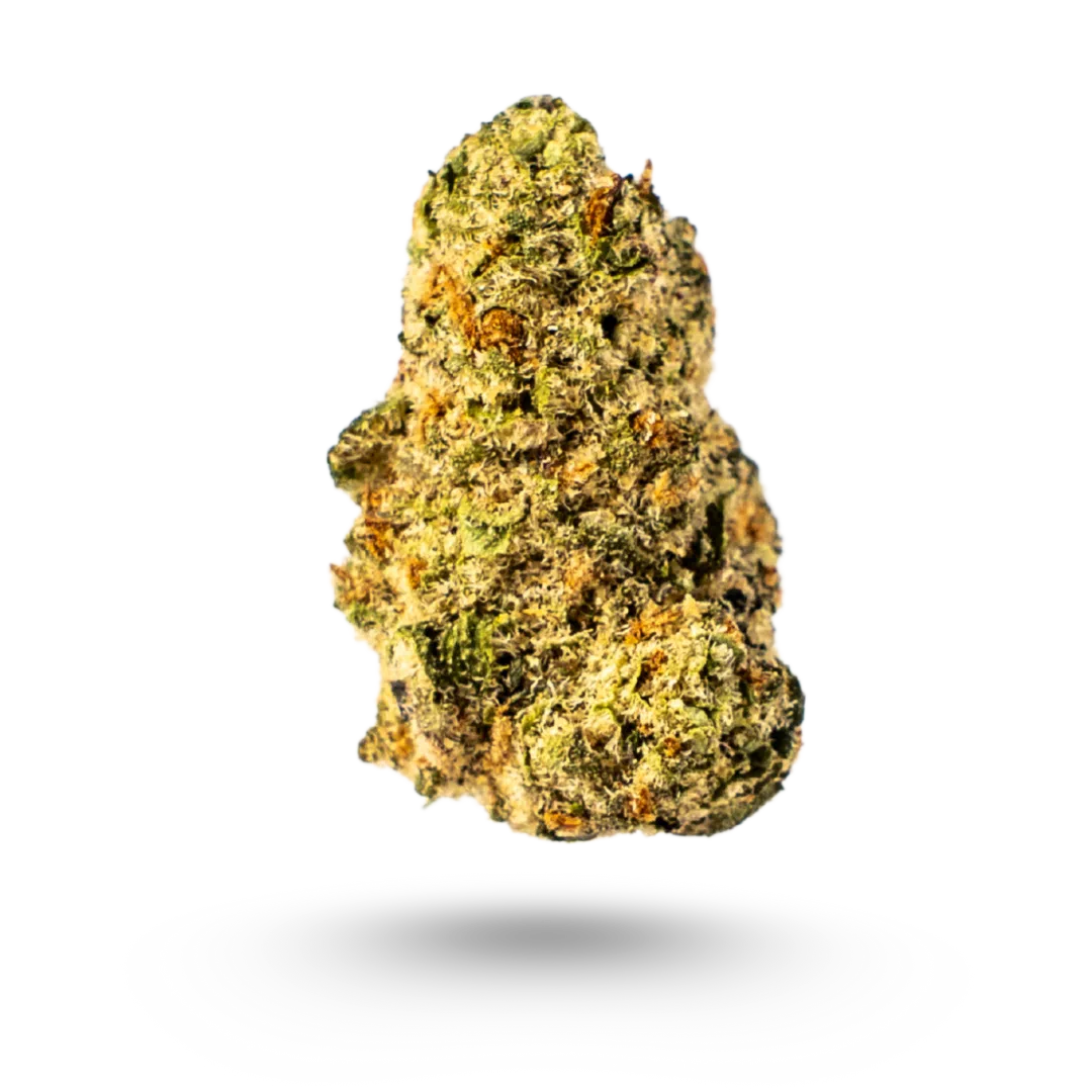 Gelato 33 Indoor Smalls