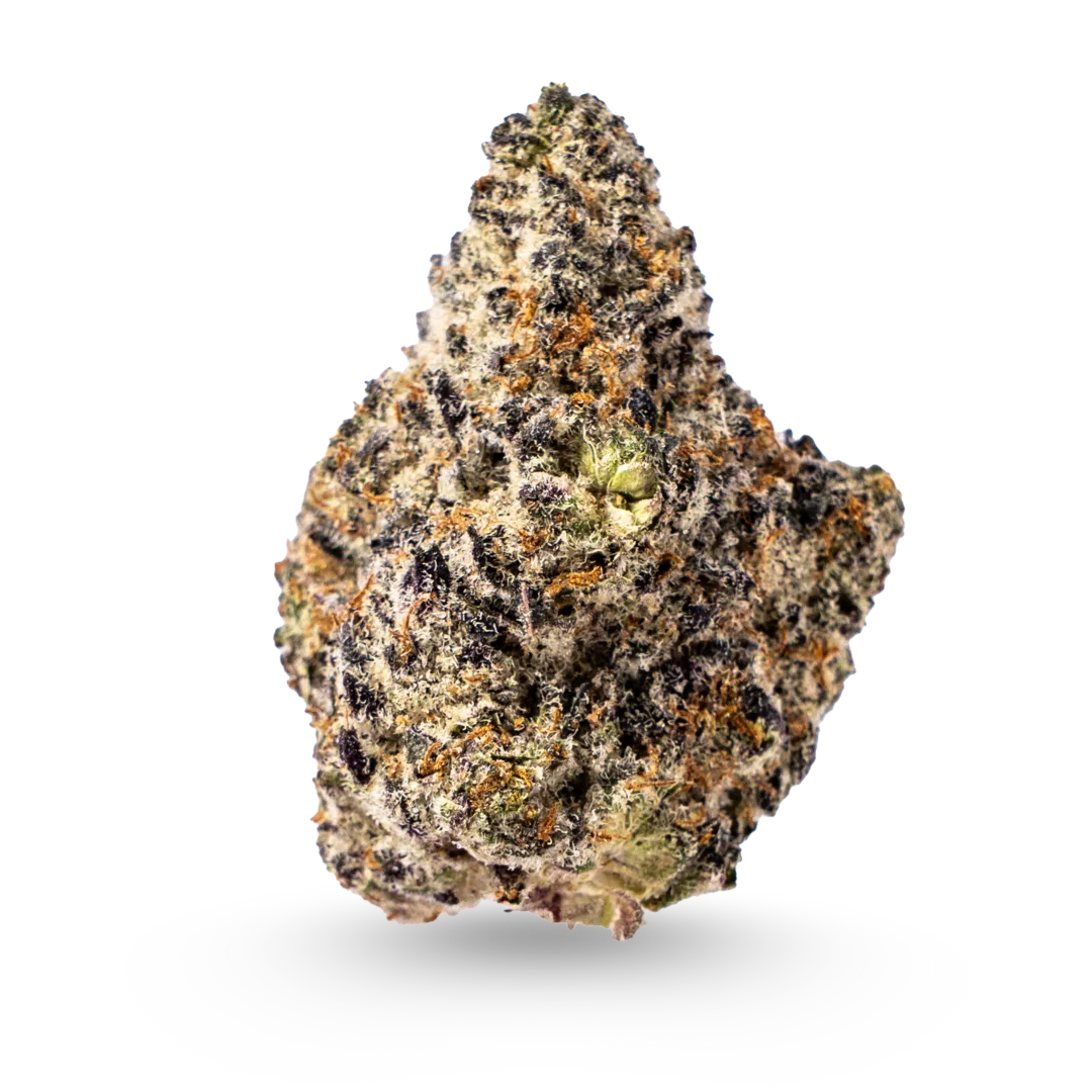 Gorilla Butter Exotic Flower