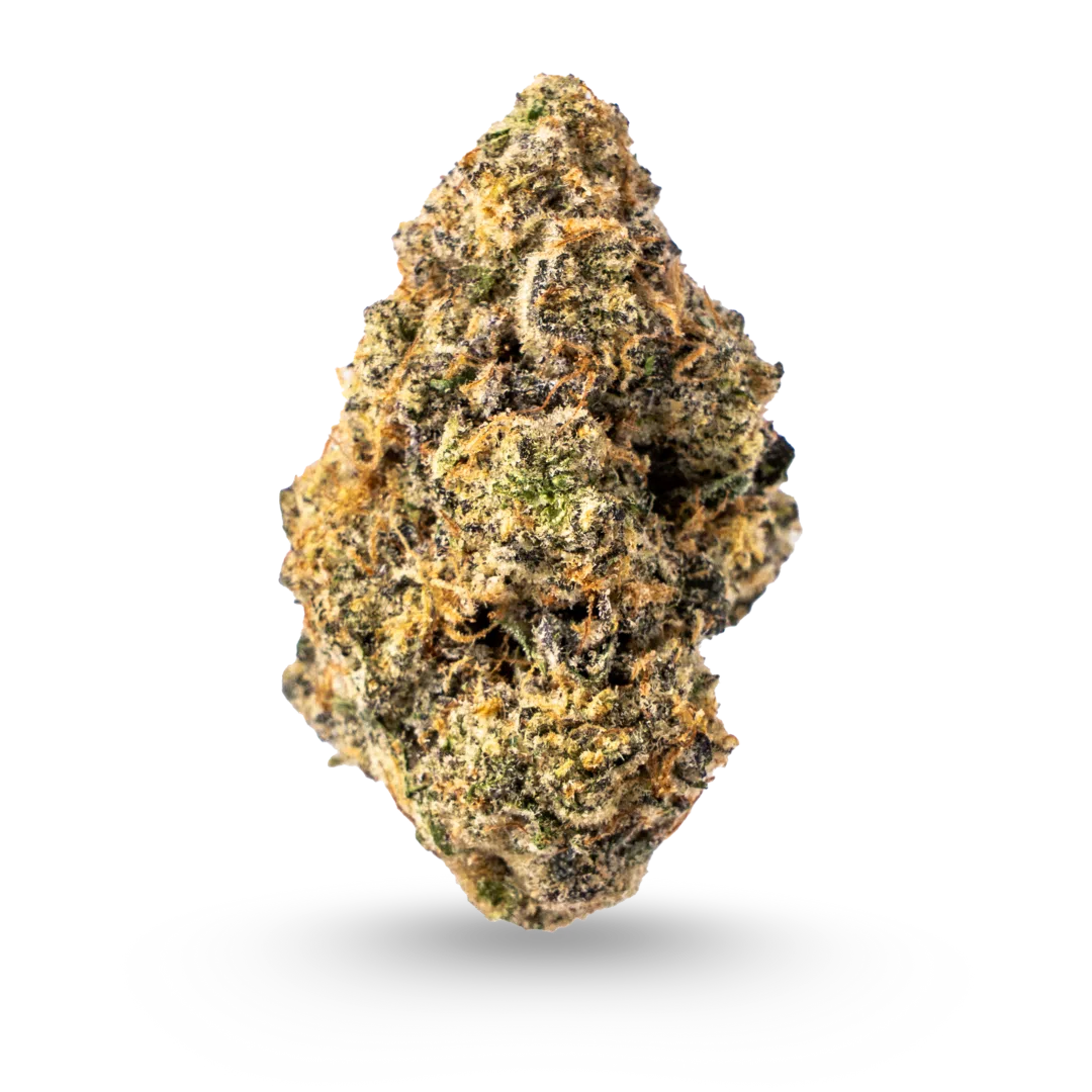 Rainbow Sherbert Exotic Flower