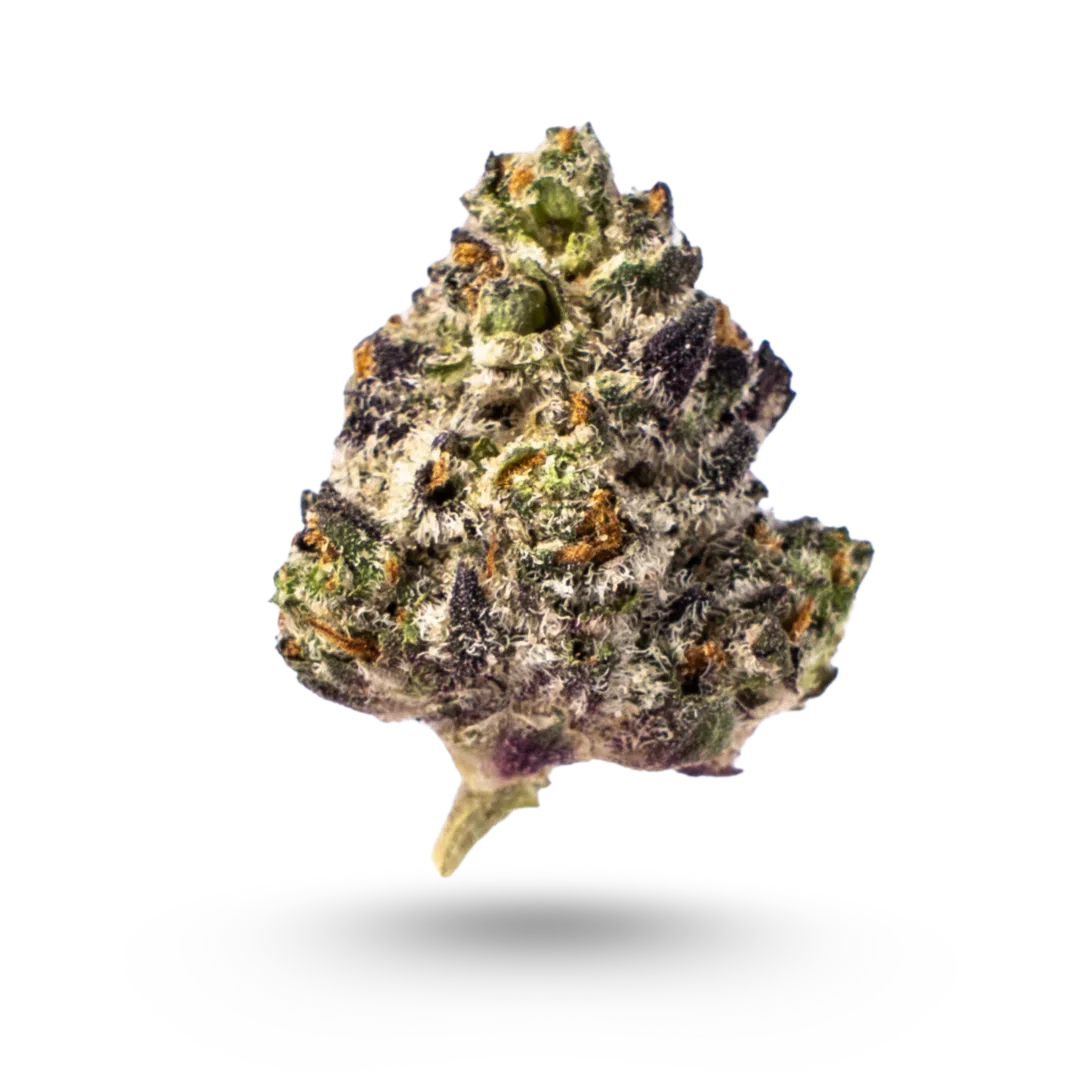 White Truffle Exotic Smalls